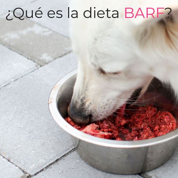 ¿Qué es la dieta BARF?